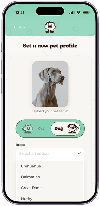 Truffle app screen 8