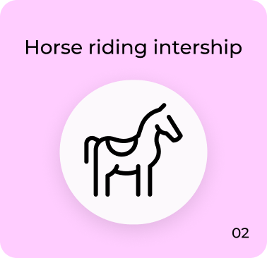 Horse riding internship icon