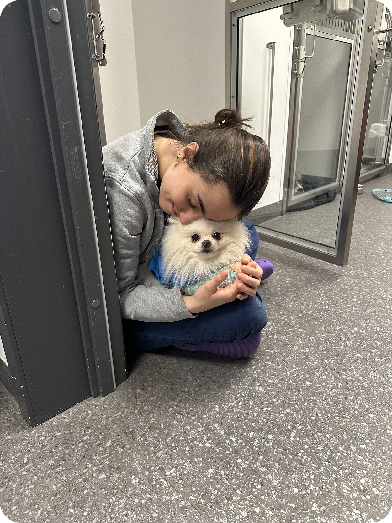 Veterinary care moment three