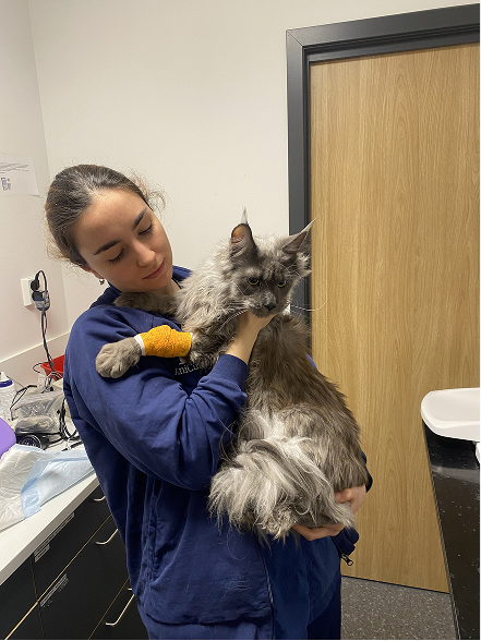 Sara in veterinary nursing context