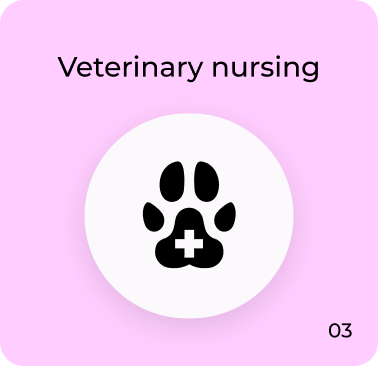 Veterinary nursing icon